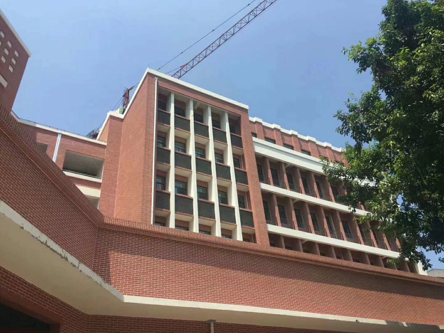 重庆石坪桥小学.jpg
