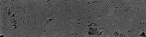 1-160320142225.jpg