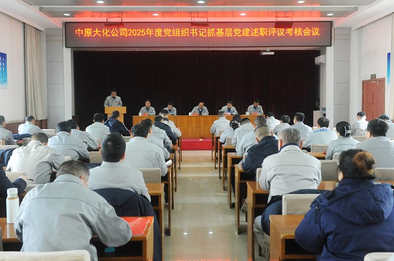 尊龙凯时人生就是搏公司党委召开2025年度党组织书记抓基层党建述职评议查核会议